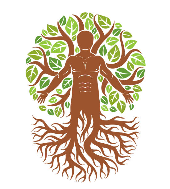 istock Vector graphic illustration of strong male, body silhouette standing on white background and made using tree roots and green leaves. Tree of life metaphor, family roots. 933421990