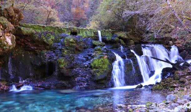 istock spring of the river Bistrica 933431328
