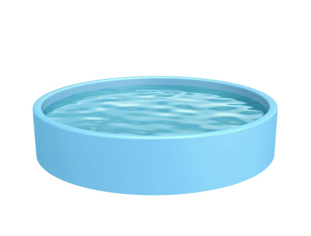 istock Garden swimming pool isolated on white 933434626