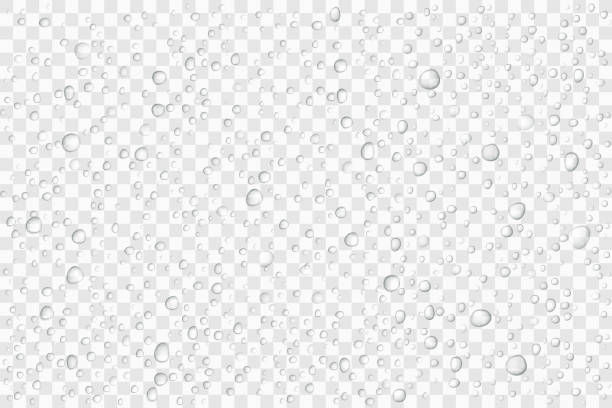 ilustrações de stock, clip art, desenhos animados e ícones de vector water drops on glass. rain drops on transparent background - weather cloud window rain