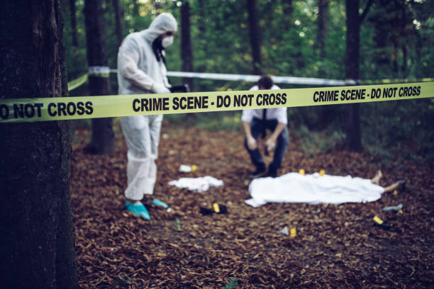 istock Detective and forensics collecting evidence on murder crime scene 933442812