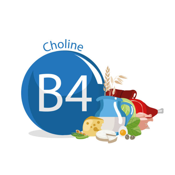 ilustraciones, imágenes clip art, dibujos animados e iconos de stock de vitamina b4 (colina). - b4