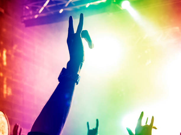 istock Concert crowd in front of a live stage 933454786
