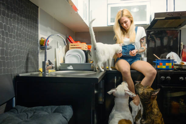 istock Young Woman At Home 933469864