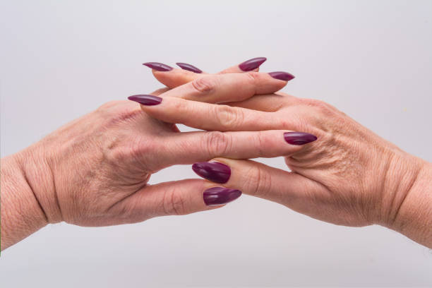 Mature Female Wrinkled Folded Hands With Purple Manicure Stock Photo - Download Image Now - iStock Mature Female Wrinkled Folded Hands With Purple Manicure Stock Photo - Download Image Now - iStock