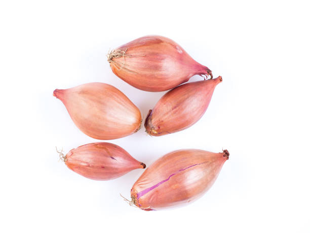 shallots onion on white background, bulbs, top view stock photo