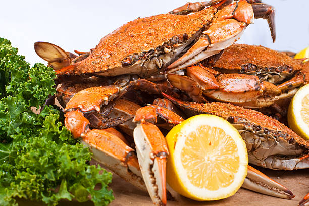 granchi al vapore - maryland blue crab foto e immagini stock