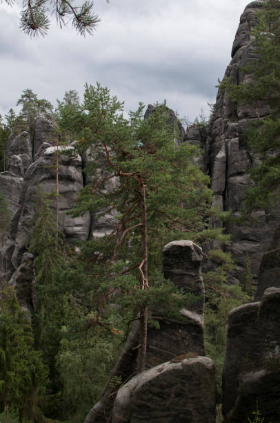 istock Adrspach Rock City 933475594