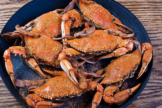 granchi al vapore - maryland blue crab foto e immagini stock