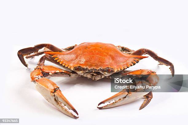 Gedämpfte Krabben Stockfoto und mehr Bilder von Dampfkochen - Dampfkochen, Krabben - Meeresfrüchte, Blaukrabbe