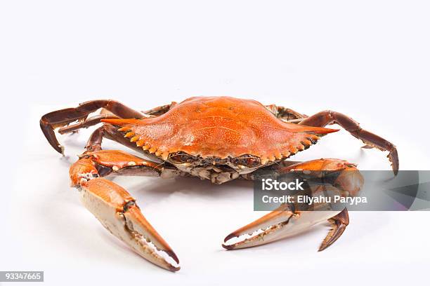 Photo libre de droit de Crabes Cuits À La Vapeur banque d'images et plus d'images libres de droit de Crabe - Crustacé - Crabe - Crustacé, Cuisson à la vapeur, Crabe bleu