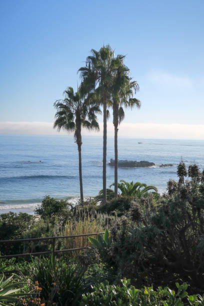 istock Laguna Beach California Views 933480416