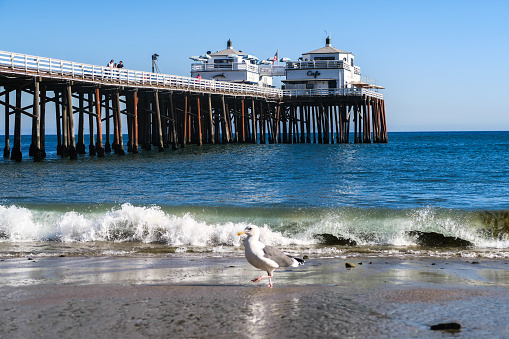 Malibu Beach Pier, Los Angeles, California Coast
