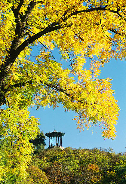 istock Autumn in city Pyatigorsk. 93348600