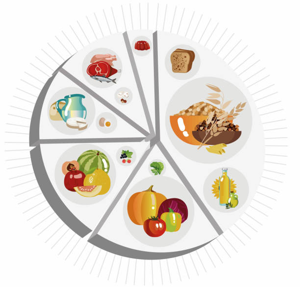 продовольственная пирамида пирог диаграммы - bakery meat bread carbohydrate stock illustrations