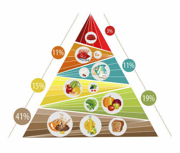 foodpiramid_round_23 - bakery meat bread carbohydrate stock illustrations