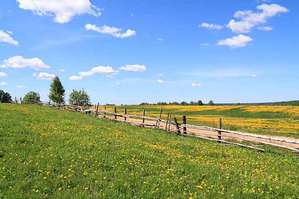 istock old fence along rural road 93350459