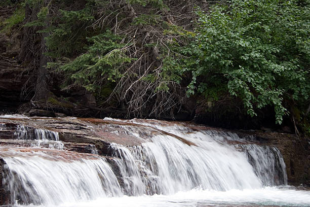 chutes virginia river, le parc national de glacier - chutes virginia photos et images de collection