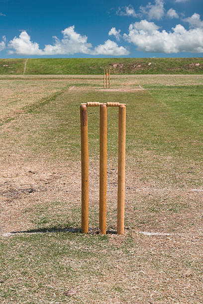 istock cricket pitch and blue sky 93350898