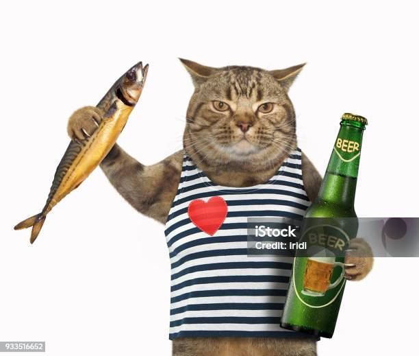 Кот с бутылкой пива мем видео Кот с бутылкой пива мем видео