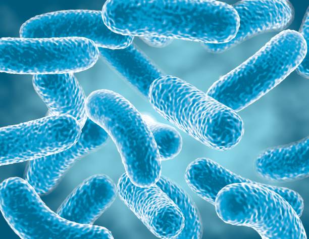 istock Blue bacteria cells, bacterial infection disease illustration. 933517414