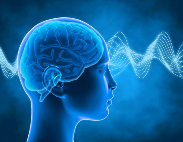 istock Brain waves abstract illustration with woman head and brain, thinking process, concentration idea. 933517440