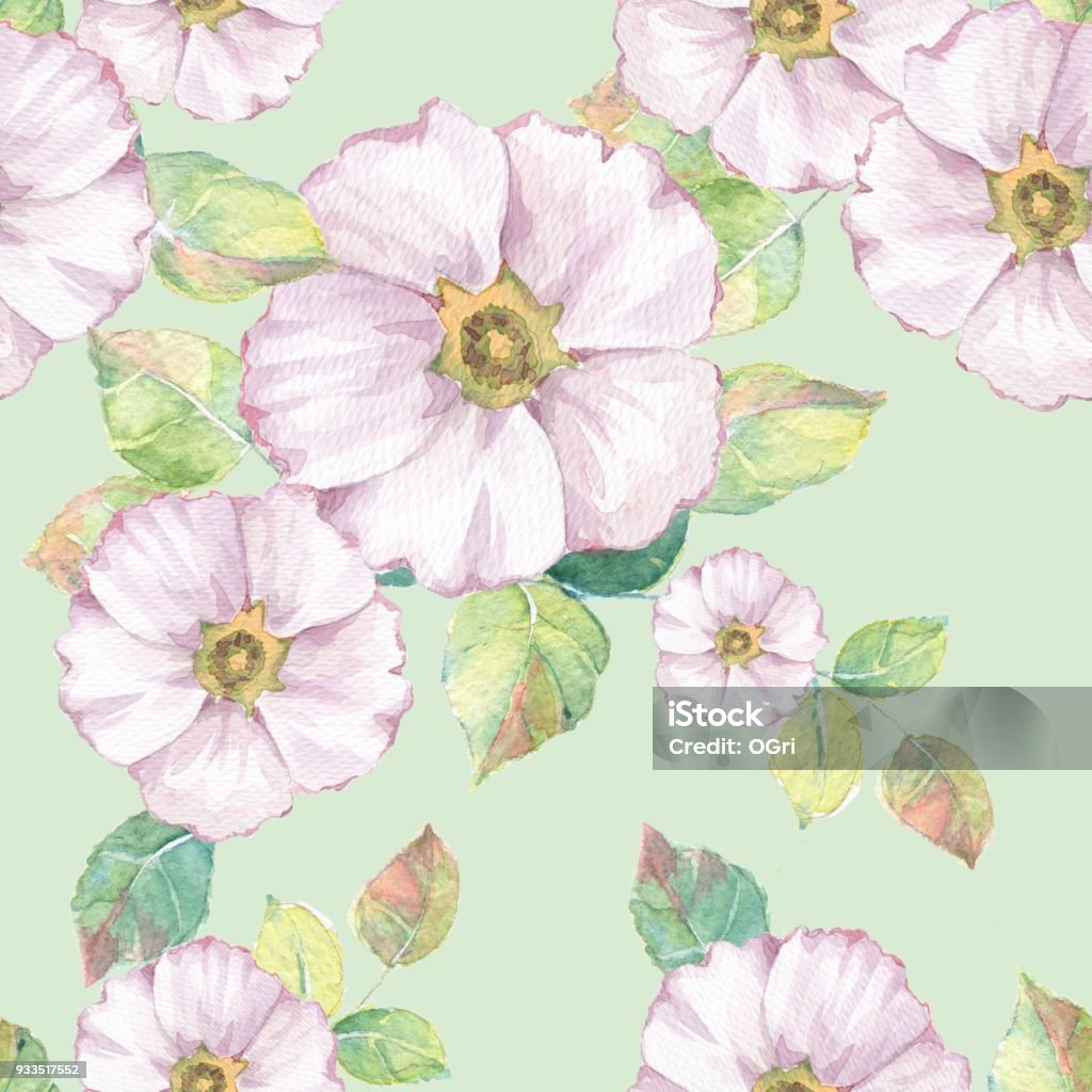 Delicate White Pattern Delicate White Flowers Floral Seamless Pattern 3 Stock Illustration ...