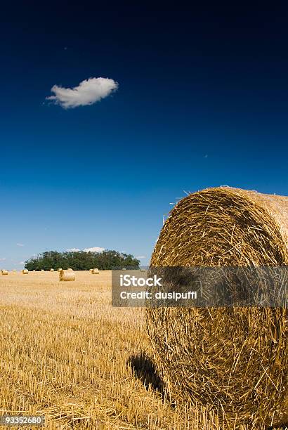 Paglia Bales - Fotografie stock e altre immagini di Agricoltura - Agricoltura, Albero, Ambientazione esterna