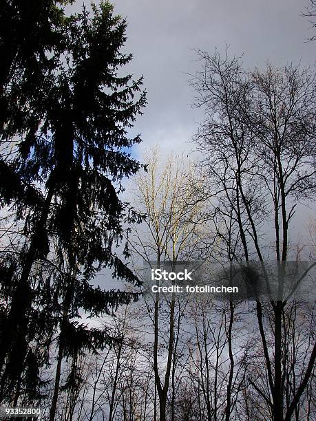 Wolkenspiel Foto de stock y más banco de imágenes de Aerobismo - Aerobismo, Aire libre, Bosque