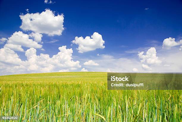 Landscape Stock Photo - Download Image Now - Agricultural Field, Backgrounds, Blue
