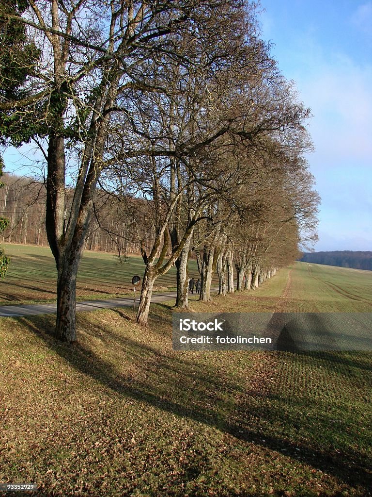 Schwäbische-Gebirge im winter - Lizenzfrei Baum Stock-Foto