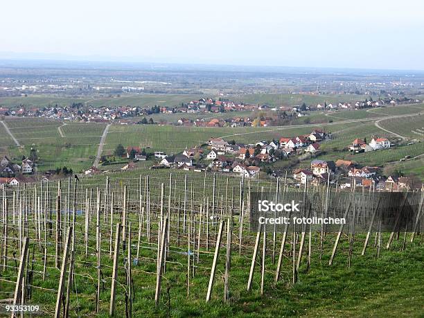 Weinberg Im Schwarzwaldbuehlerhoehe Stockfoto und mehr Bilder von Anhöhe - Anhöhe, Chance, Deutschland