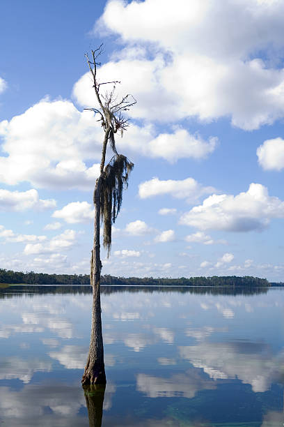 Lake stock photo