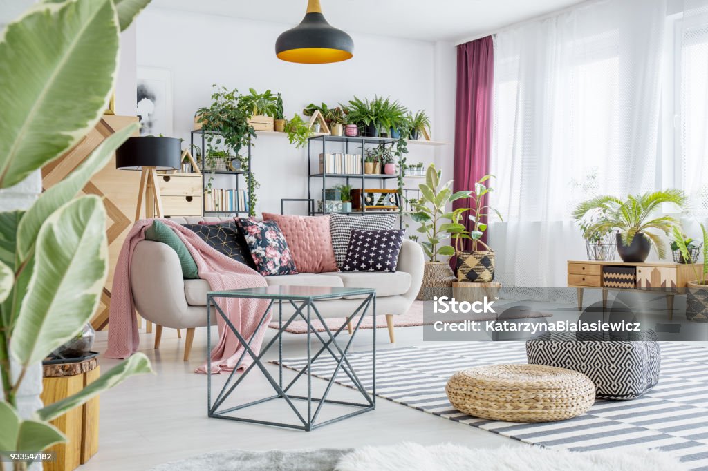 Spacious living room with plants Poufs on striped carpet in spacious living room interior with plants and table next to sofa with pillows Plant Stock Photo
