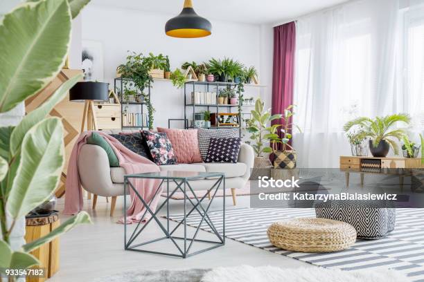Spacious Living Room With Plants Stock Photo - Download Image Now - Plant, Living Room, Flower
