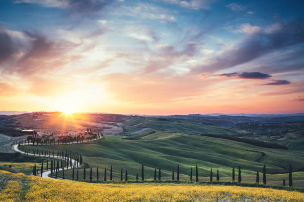 istock Tuscany Landscape With Winding Road 933548186