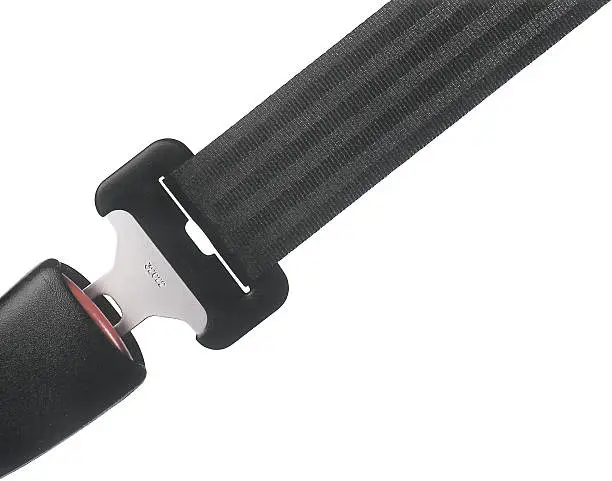 Photo of Seat Belt