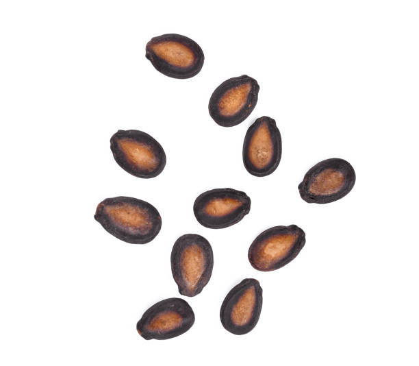 istock top view of dried watermelon seeds isolated on white background 933553650