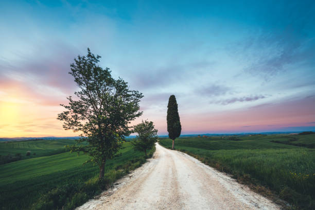 istock Country Road In Tuscany 933554894