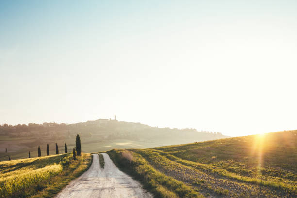 carretera hasta pienza - meadow single lane road nature field fotografías e imágenes de stock