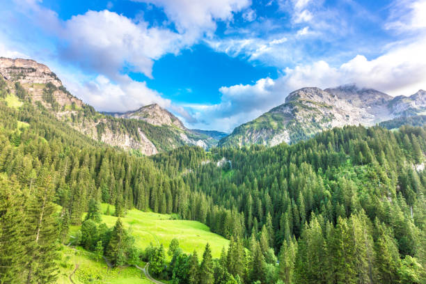 krajobraz górski w pobliżu gstaad, szwajcaria - swiss culture european alps gstaad village zdjęcia i obrazy z banku zdjęć