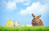 Easter eggs, chickens and rabbit. Sky, grass