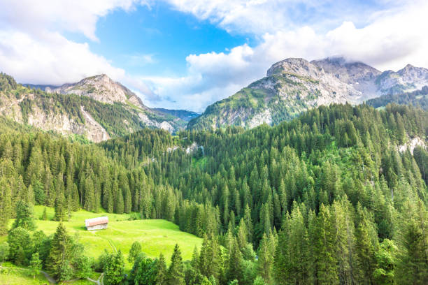 krajobraz górski w pobliżu gstaad, szwajcaria - swiss culture european alps gstaad village zdjęcia i obrazy z banku zdjęć