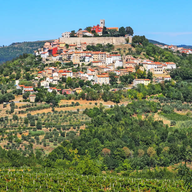 View of the city Motovun in Istria, Croatia stock photo