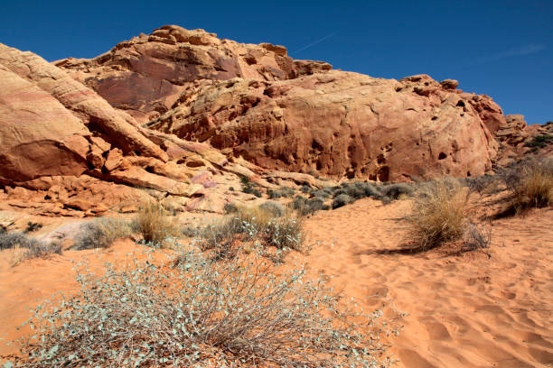 istock Valley of Fire State Park, Nevada, USA 933590482