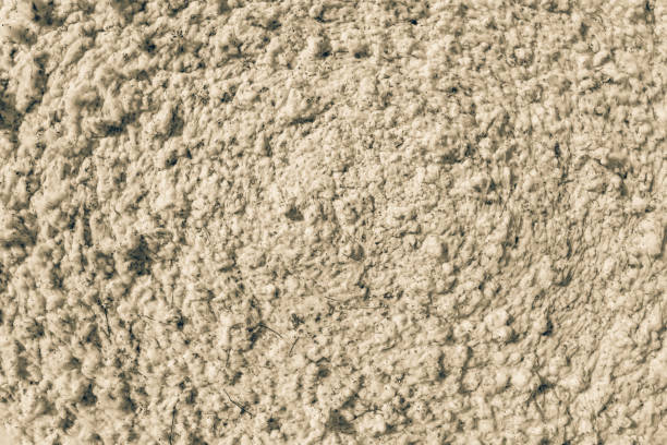 istock Close-up harvested cotton texture from the bale 933594590