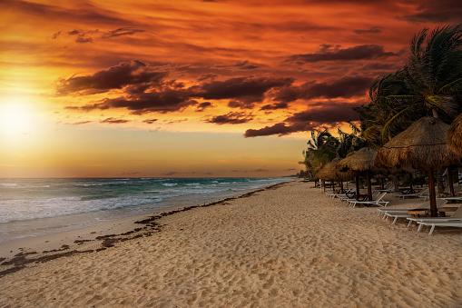 Golden sunset over the beach of the Riviera Maya in Tulum, Quintana Roo, Mexico