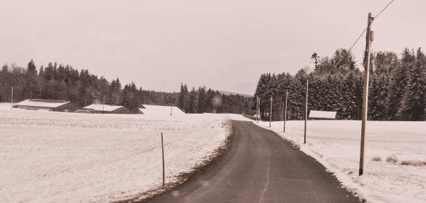istock German Winter Forest Landscape, Background and Texture with dog 933599590