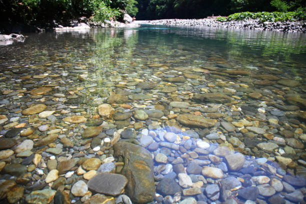 Stones of the mountain river in the sunny day