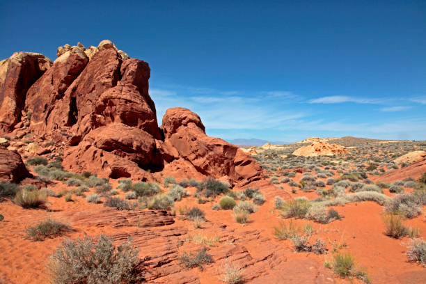 valley of fire state park, nevada, stati uniti - nevada usa desert arid climate foto e immagini stock